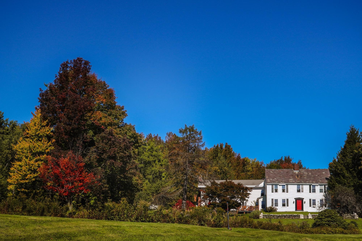 The Wedding Website of Alison Pierre and Jon Richard