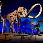 Milwaukee Public Museum