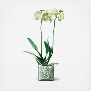 Canopy Recycled Planter