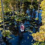 Cypress Gardens