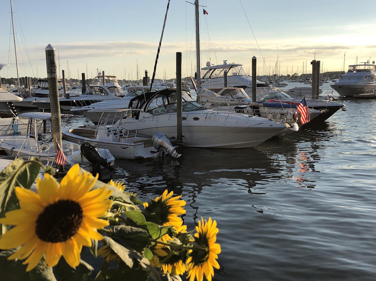 The Wedding Website of Alaina Reinhardt and Jake Barringer