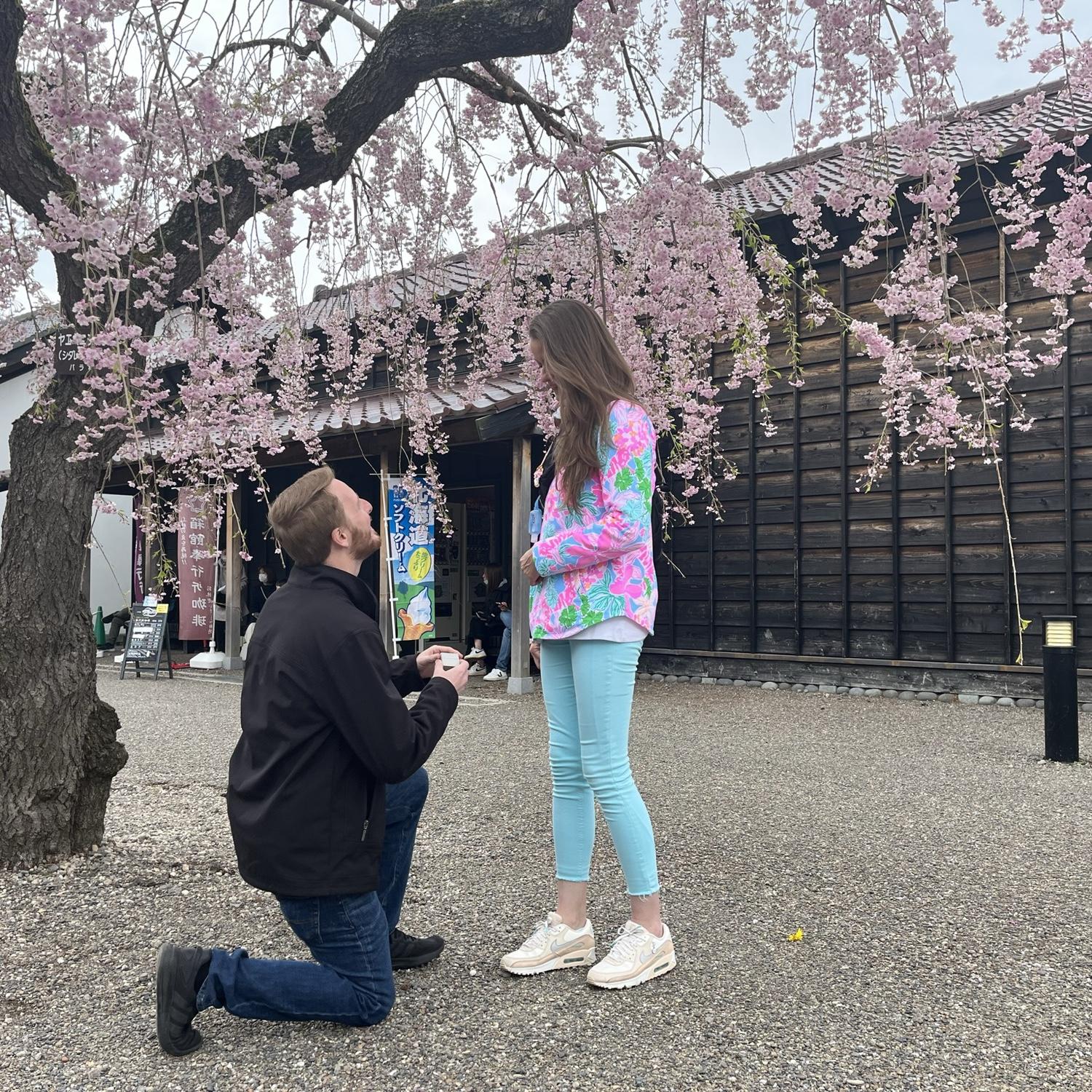 Adam got down on one knee and Sarah  said, "Yes!" (Goryōkaku Park)