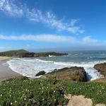 Bean Hollow State Beach