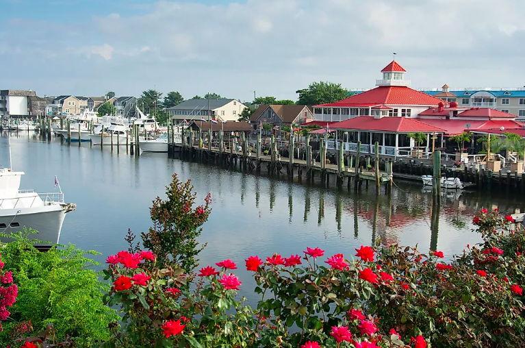 The Wedding Website of William Bradley and Kara Petrusky
