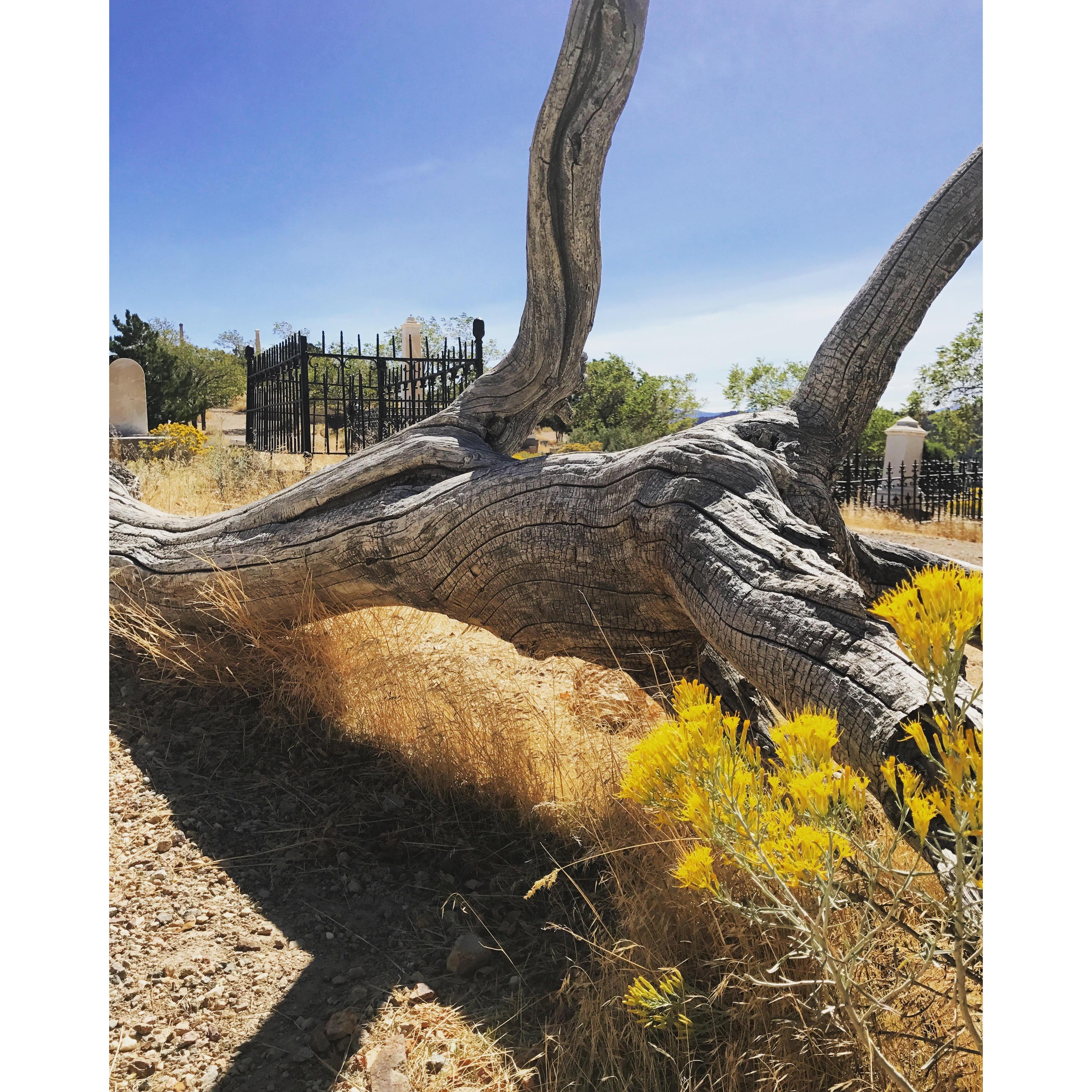 Boot Hill- Virginia City's Cemetery.