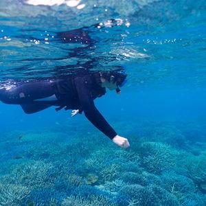 Coral Reef Snorkeling