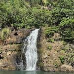Waimea Valley