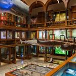 Check out the Bishop Museum
