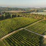 MAWBY Vineyards and Winery