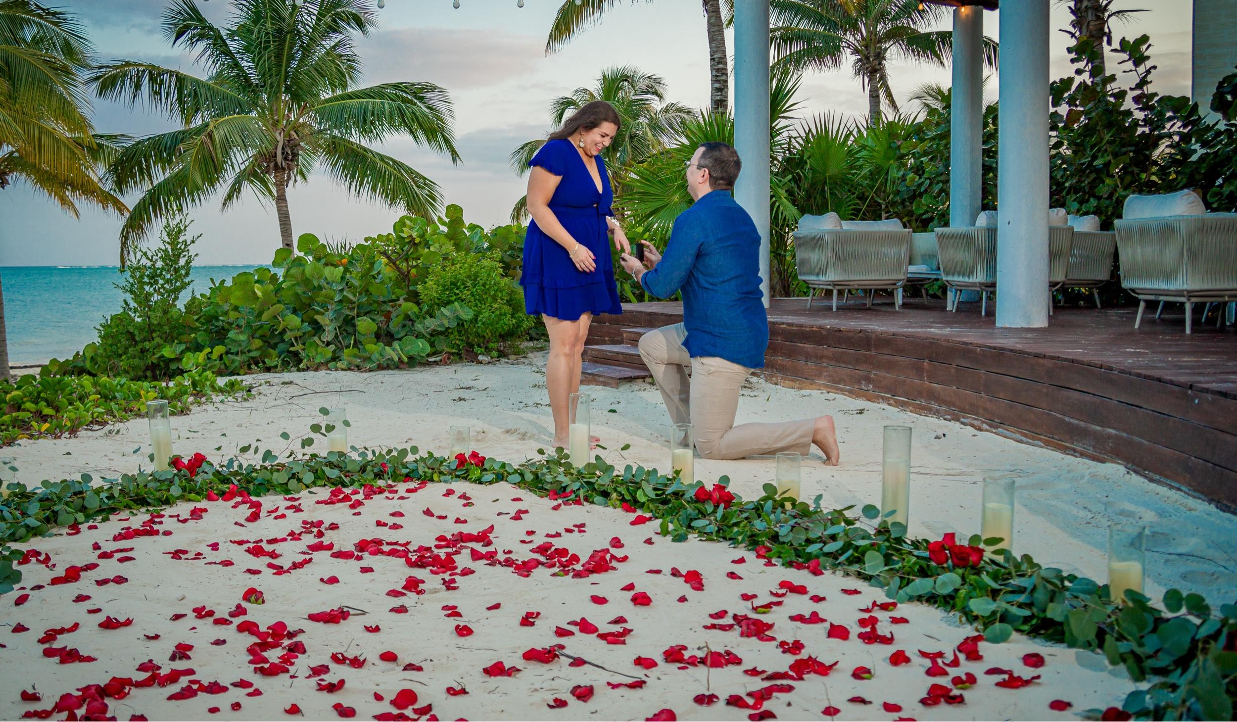 The Wedding Website of Tamara Koritarov and Kyle Alpern