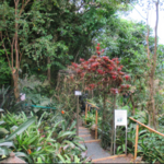 Phantasea Tropical Botanical Garden