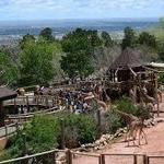 Cheyenne Mountain Zoo