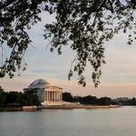Tidal Basin