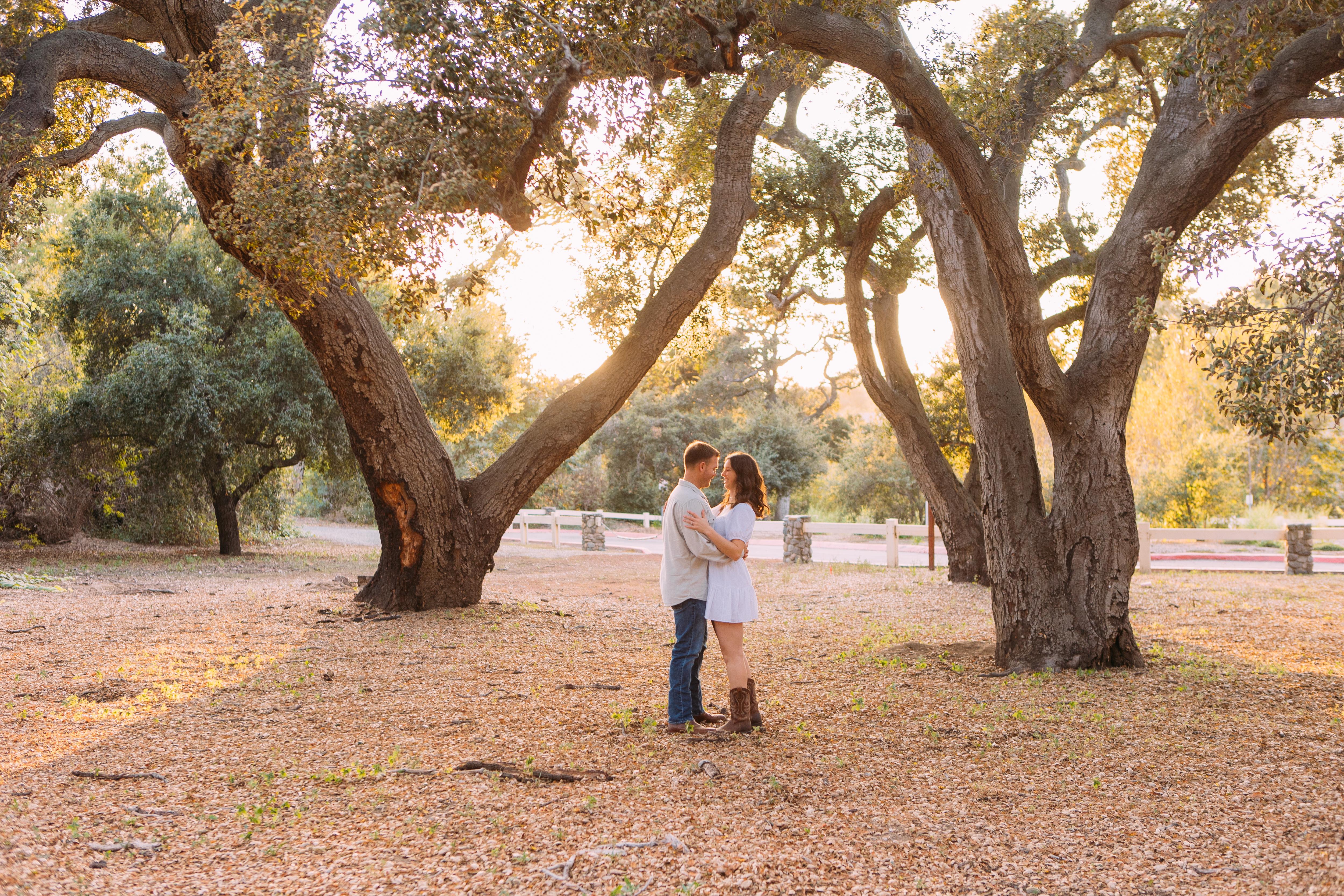 The Wedding Website of Amanda Brown and Brett Wilson