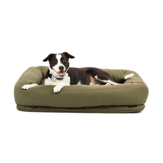 Reddy Indoor/Outdoor Dog Bed, 40" L X 30" W, Olive
