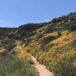 Best hiking trails