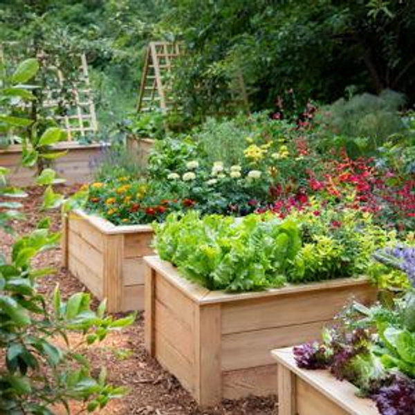 Gardening Beds