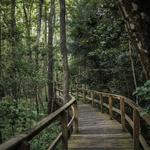 Kalmia Gardens