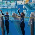 Sea World