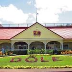 Dole Plantation
