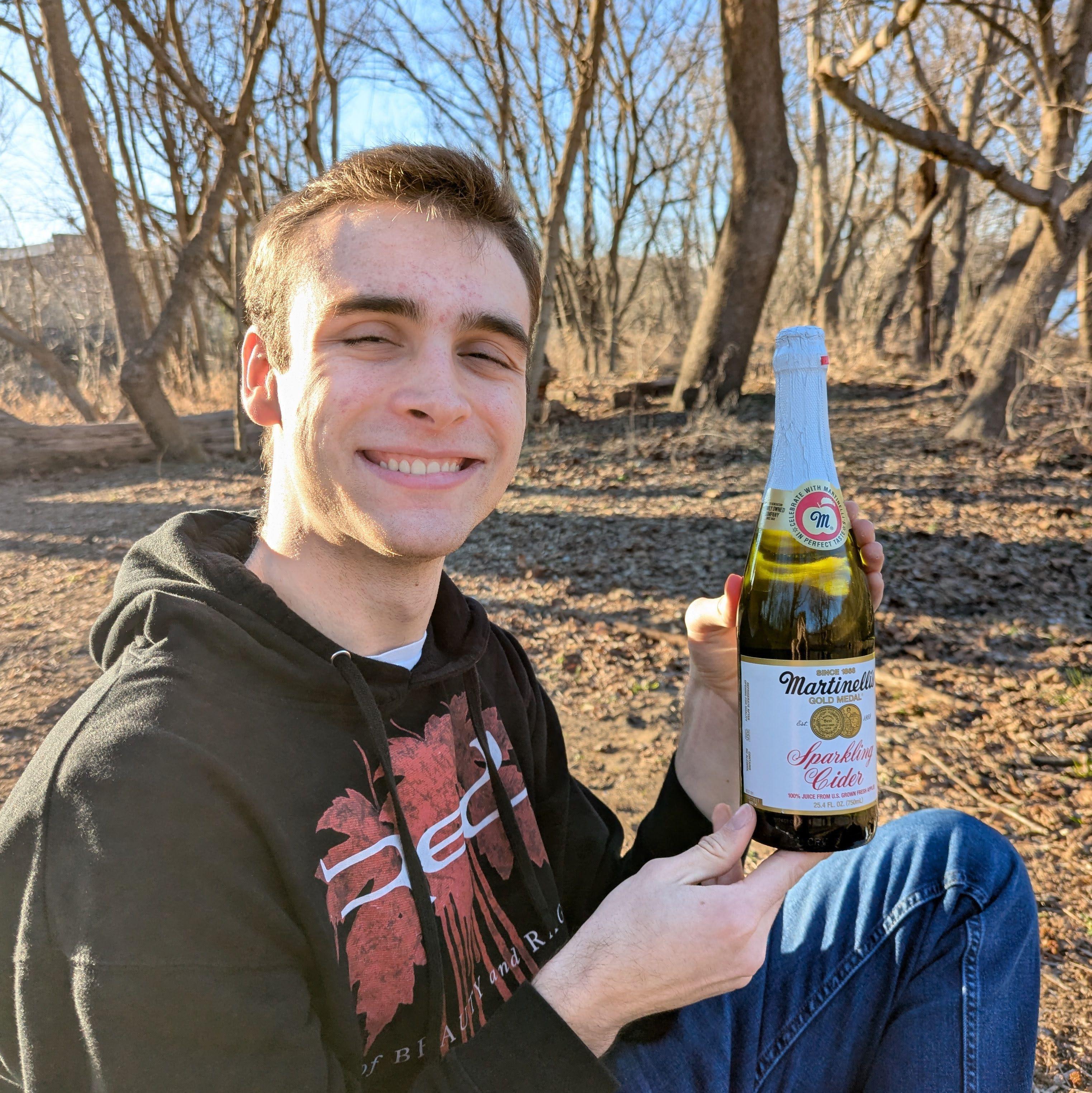 A beautiful picnic day with sparkling grape juice