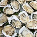 Oyster House Seafood & O-Bar