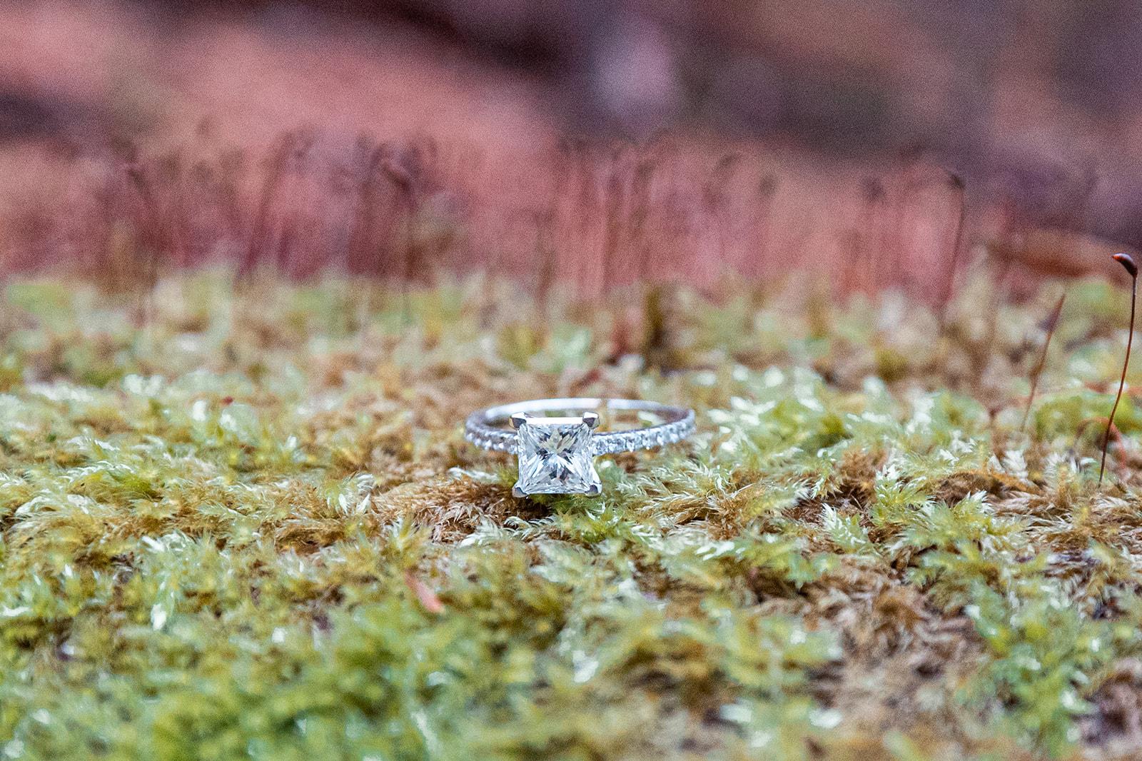 The Wedding Website of Allison Kernan and Eric Follett