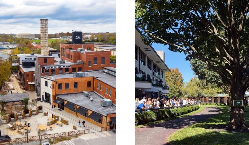 The Wedding Website of Ana Segovia and Dominic Cataldo