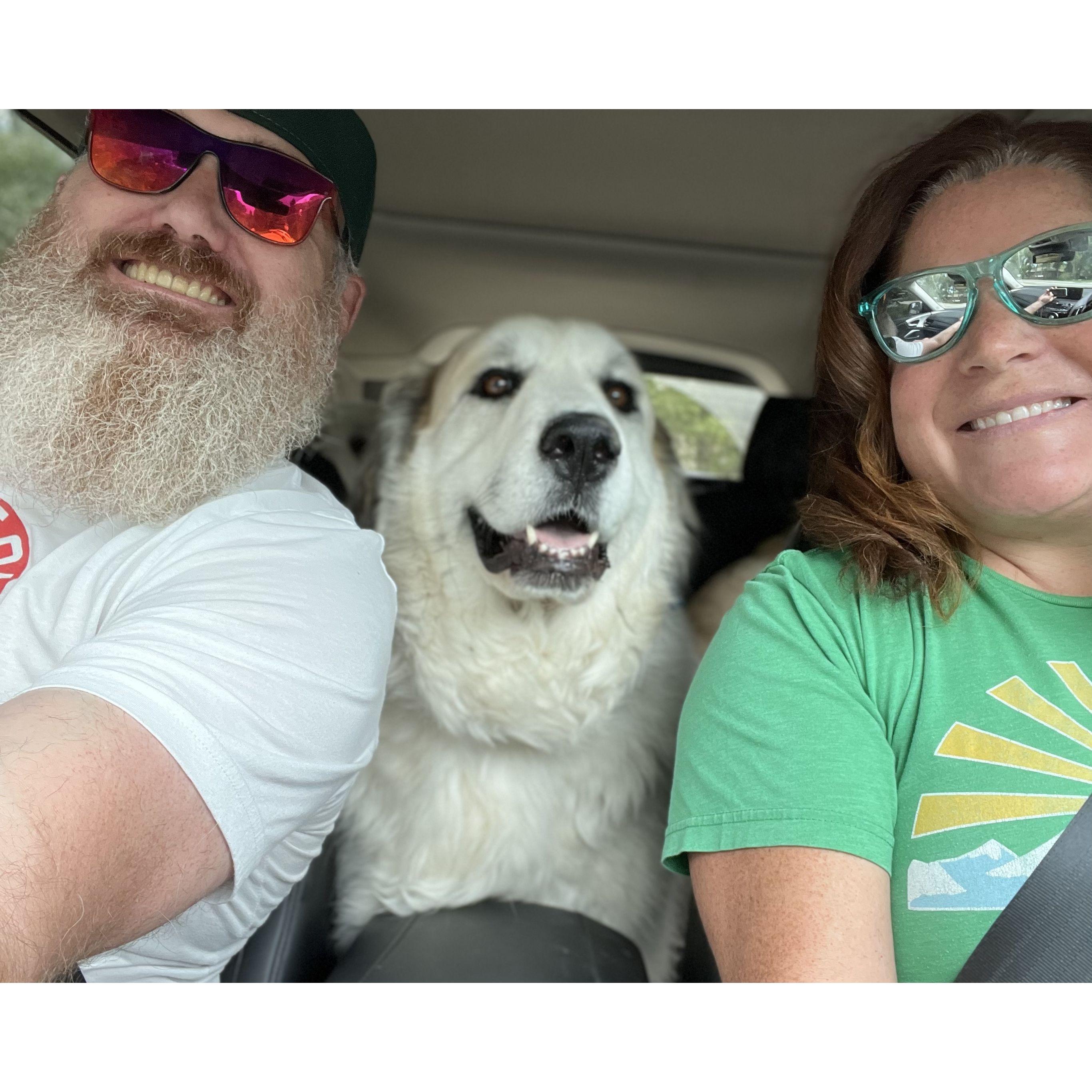 Roadtrip with Betty's guidance
