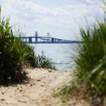 Terrapin Nature Park