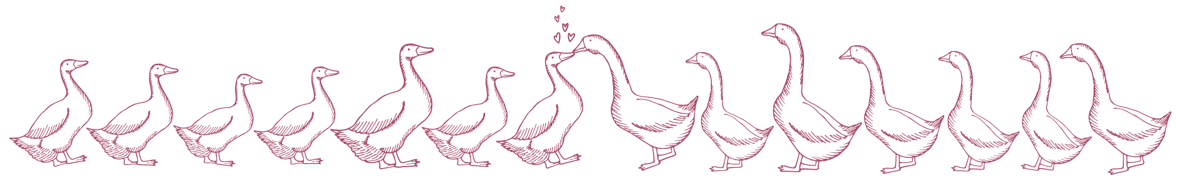 The Wedding Website of Zoe Webster and Matthew Webb