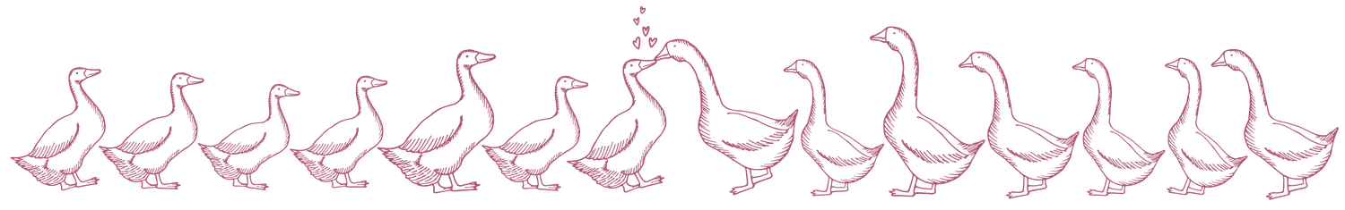 The Wedding Website of Zoe Webster and Matthew Webb