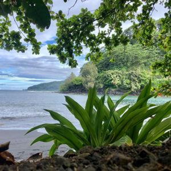 Tahiti Island Tour