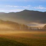Cade's Cove Scenic Loop