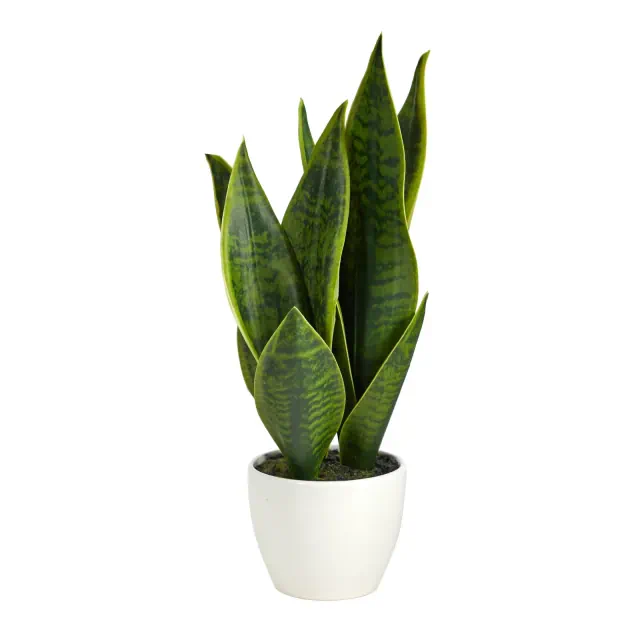 Nearly Natural 16-in Artificial Sansevieria Snake Plant