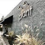 EAT - plant