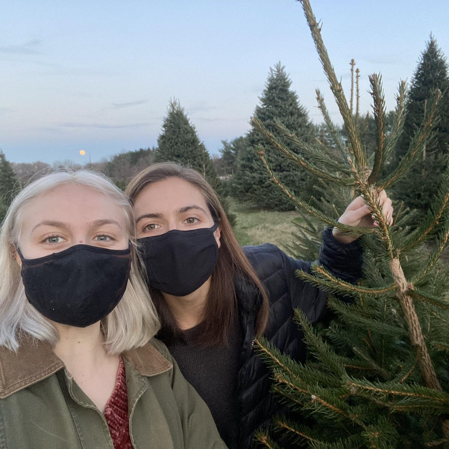 Picking out our first Christmas tree as a couple