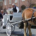 Charlotte Center City Carriage Tours