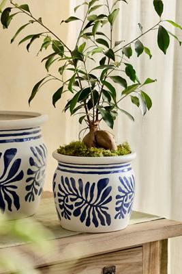 Honey Pot Ceramic Planter