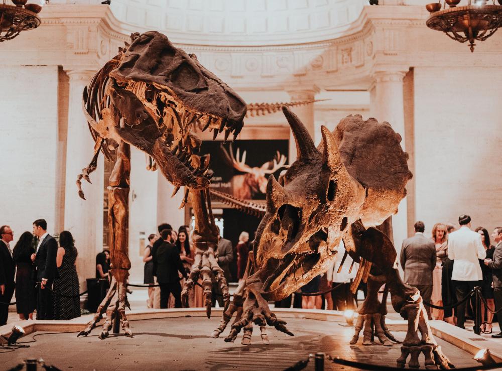 The Wedding Website of Alex Nguyen and Michael Bernard