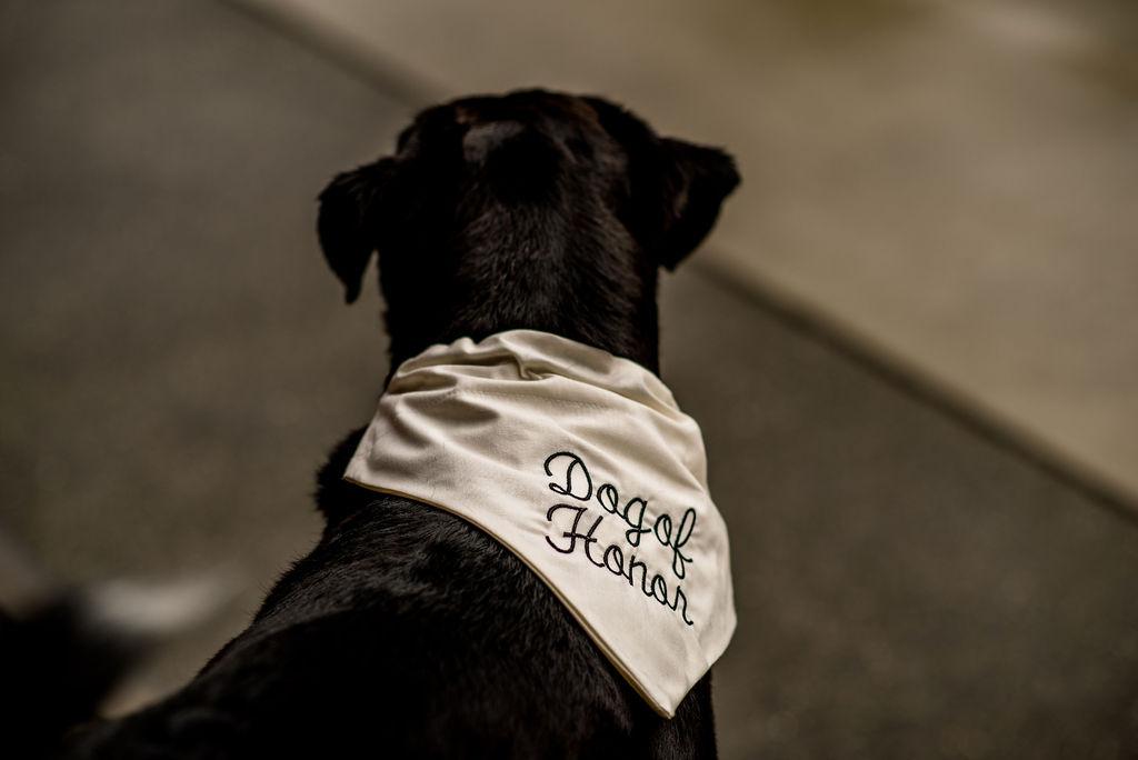 The Wedding Website of Adreanna Gore and Chris Paola