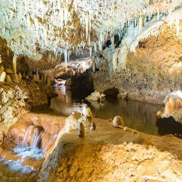 Barbados Harrison Cave Tour