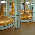 Coors Brewery Tour