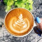 New Moon Cafe