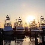 Baytowne Marina