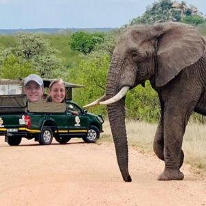 Elephant Adventure!