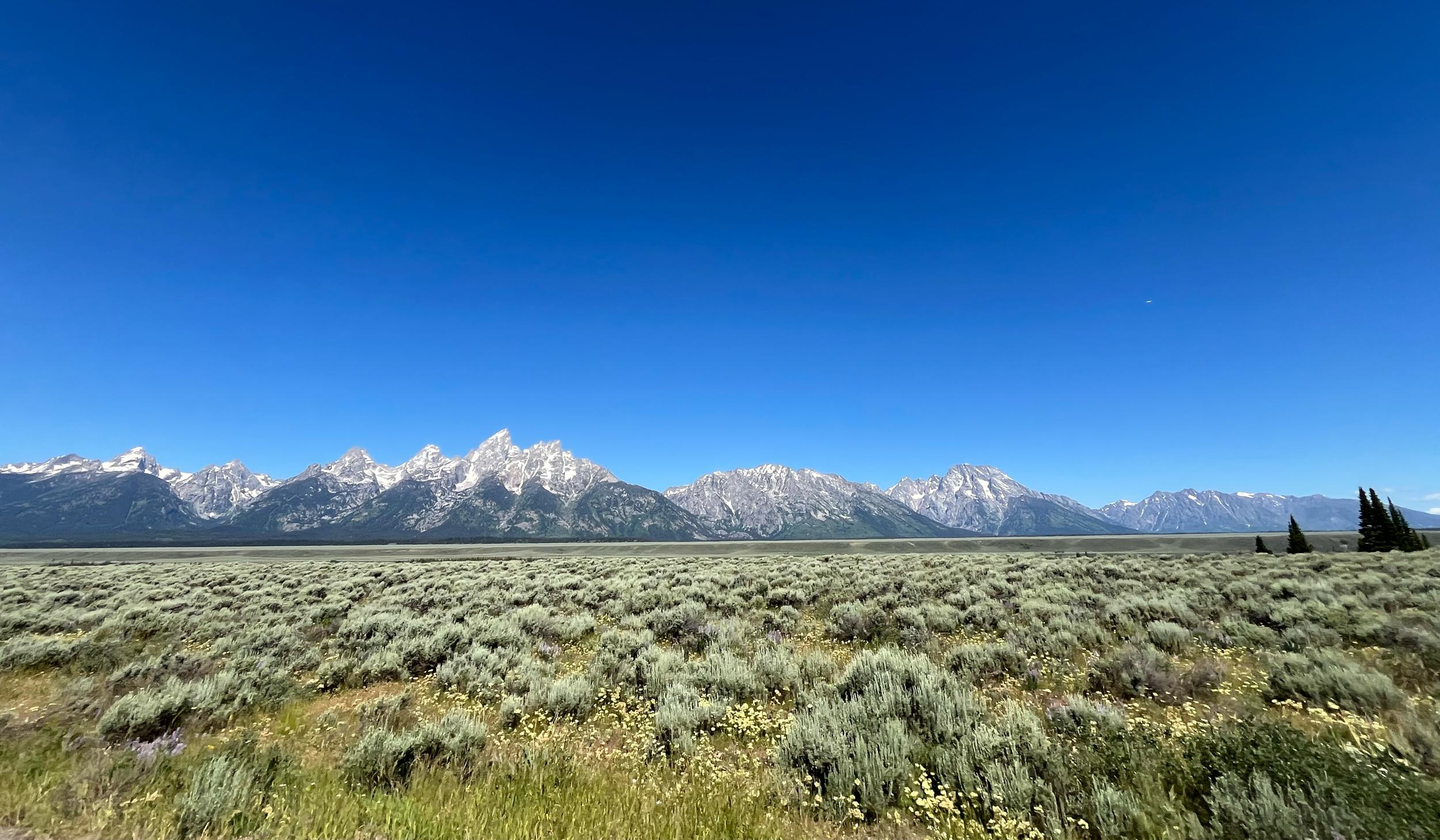 The Wedding Website of Julie Cleveland and Justin Peterson