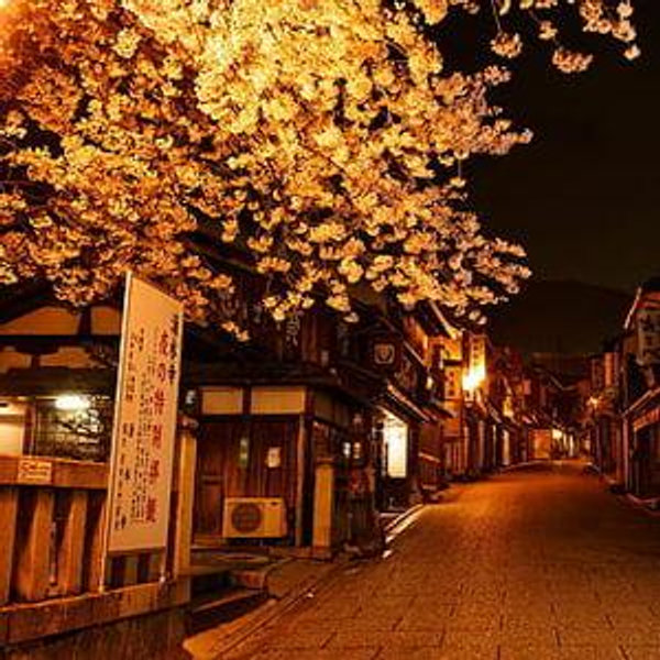 Our Honeymoon to Japan!