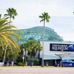 The Florida Aquarium
