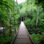 Eno River State Park